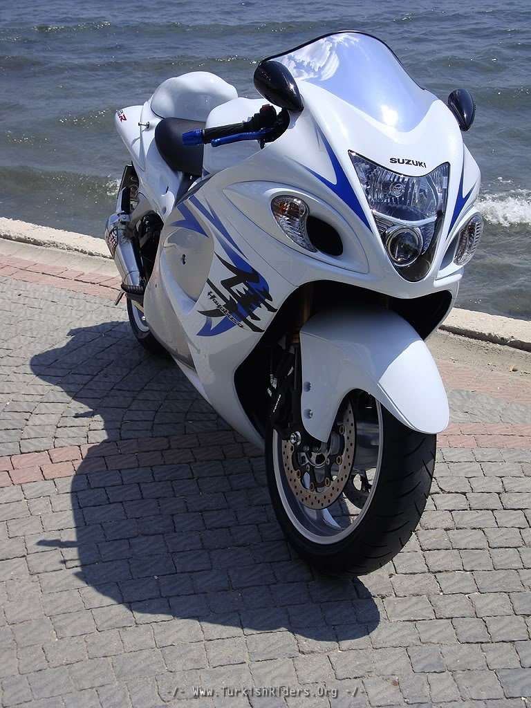 White and on sale blue hayabusa