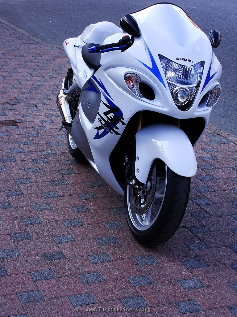 White and on sale blue hayabusa