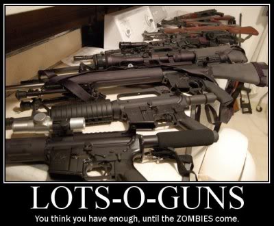 090504-mo-guns.jpg