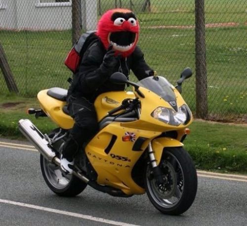 Animal muppet deals motorcycle helmet