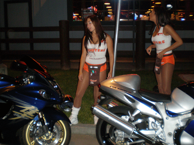 2-Busa's-and-Hooter's-Girls.gif