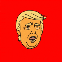 Donald Trump GIF by Creative Courage