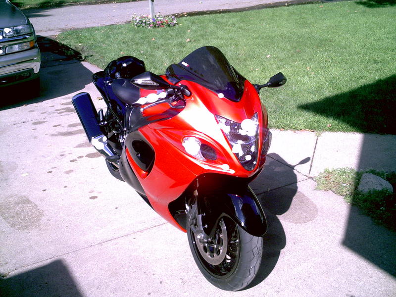 2008 busa 008.jpg