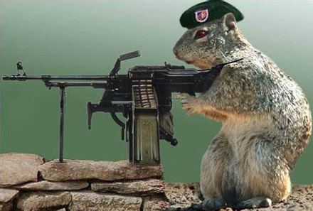 7-21-07-army_squirrel.jpg