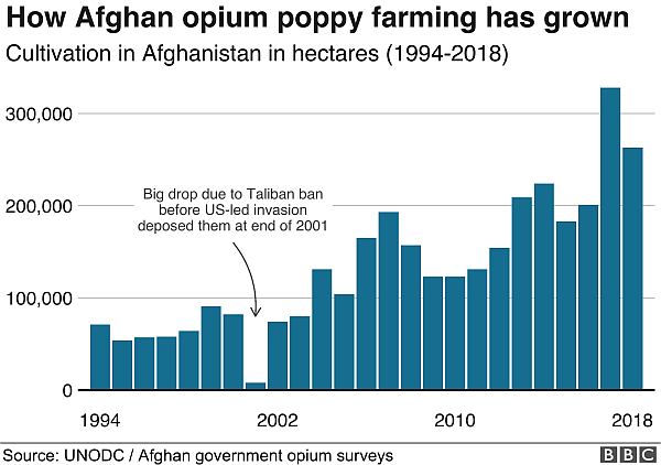 _106598597_afghan_opium_chart-nc-.png