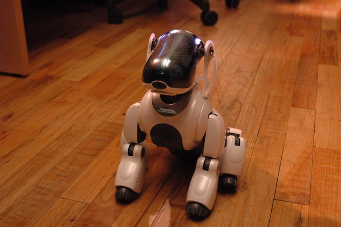 Aibo.jpg