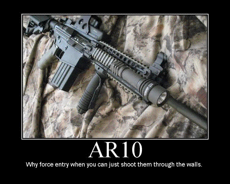 AR10.gif