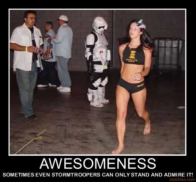 awesomeness-awesome-babe-star-wars-demotivational-poster-1275389152.jpg