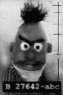 bert.JPG