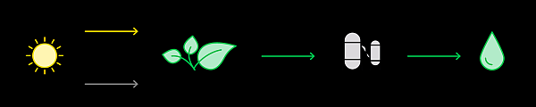 biomass-to-liquid_biofuel-s.png