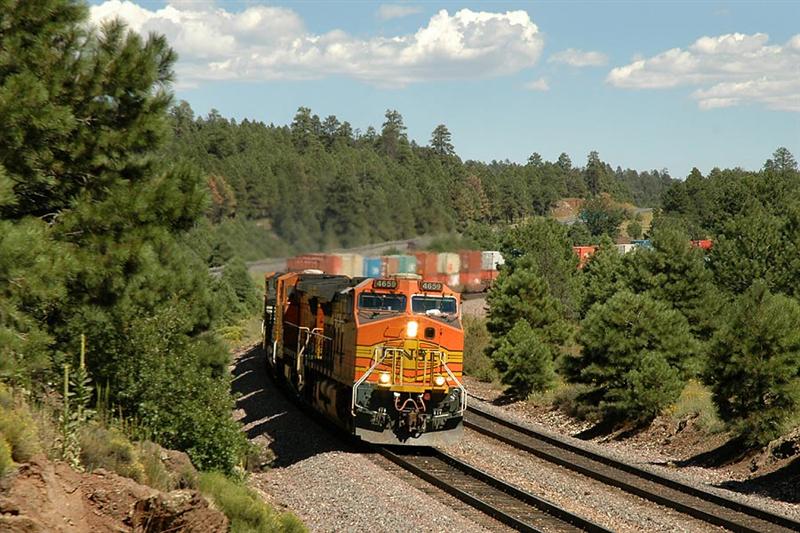 bnsf4659__Medium_.jpg