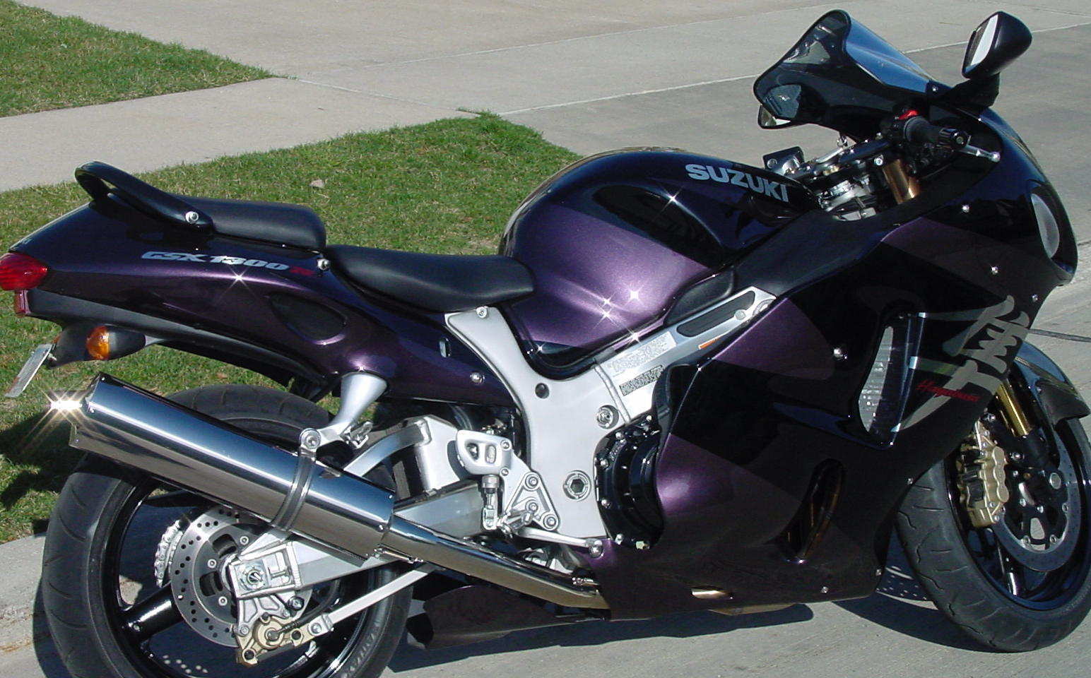 Busa_001_4_2_05.jpg