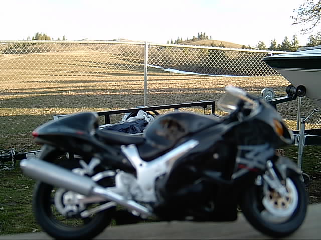 busa_008.jpg