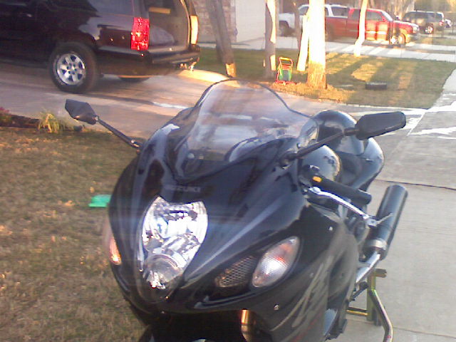 Busa_mar_2008_Rizoma_mirrors.jpg