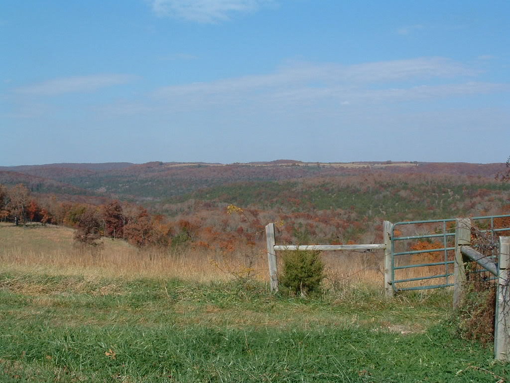 BusaRide11-03-08006.jpg