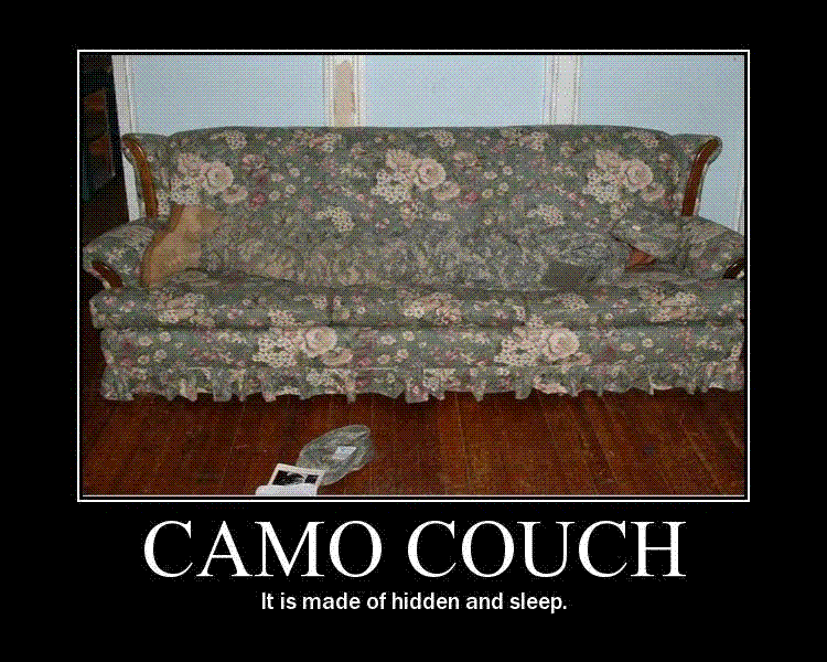 Camo.gif