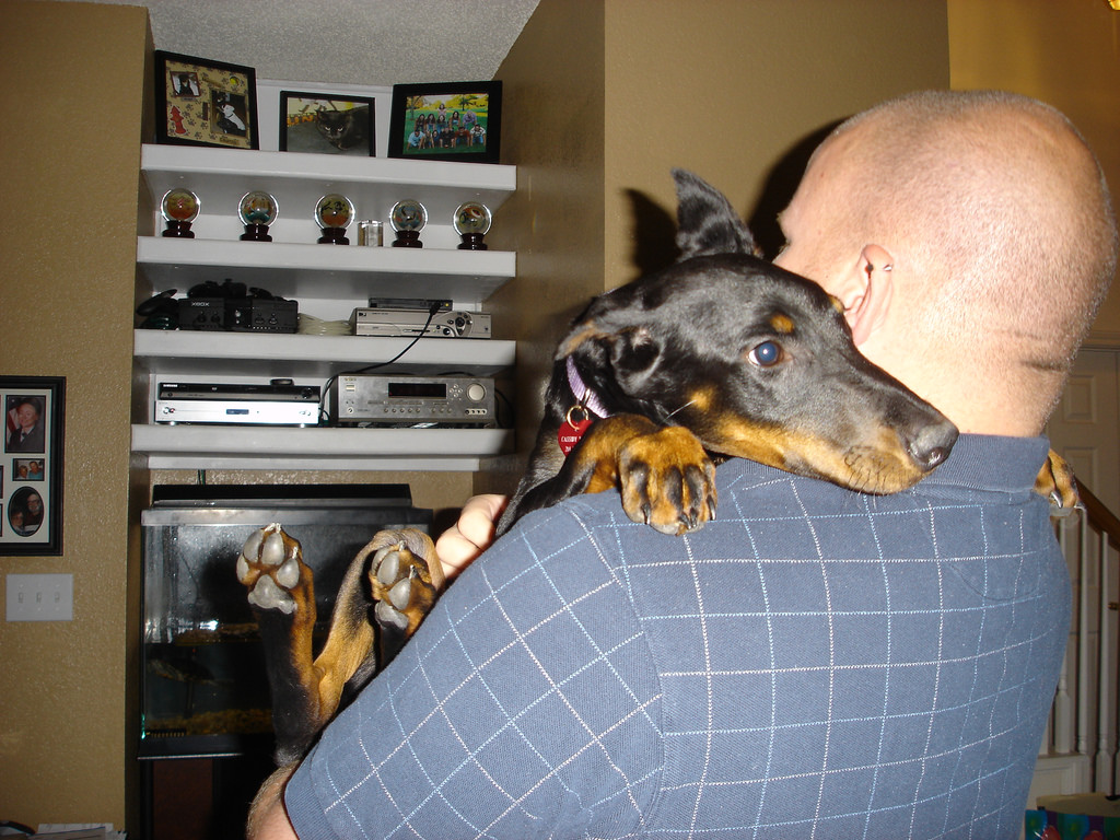 Cassody the first day she came home_769019171_l.jpg