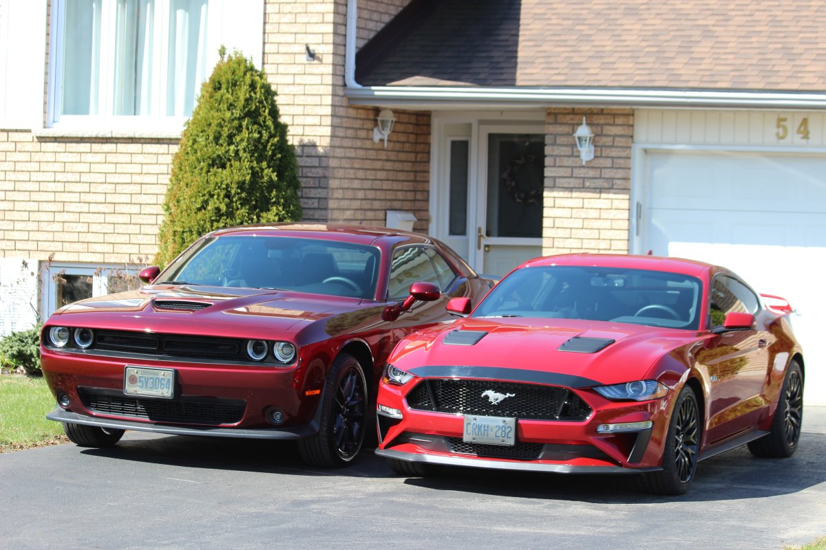 Challenger and Mustang.JPG