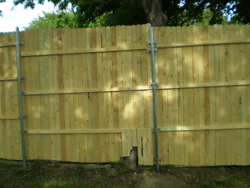 Cheryl's Fence Project 008.jpg