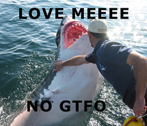 desperate,funny,gtfo,hilarious,love,me,no,shark-4d32908ed568818d8d7998c1f9c16863_m.jpg