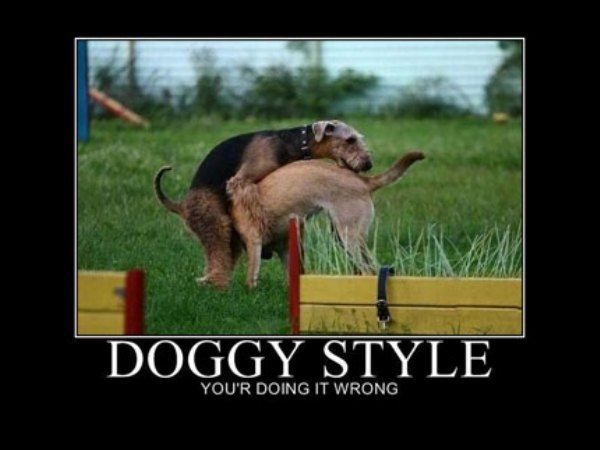 doggy_style.JPG