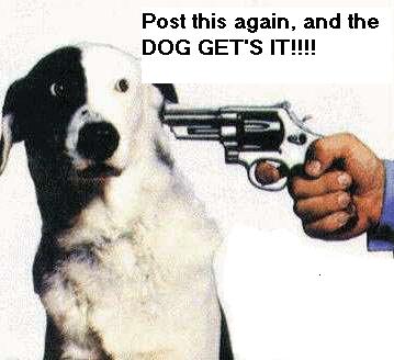 doggyrepost.jpg