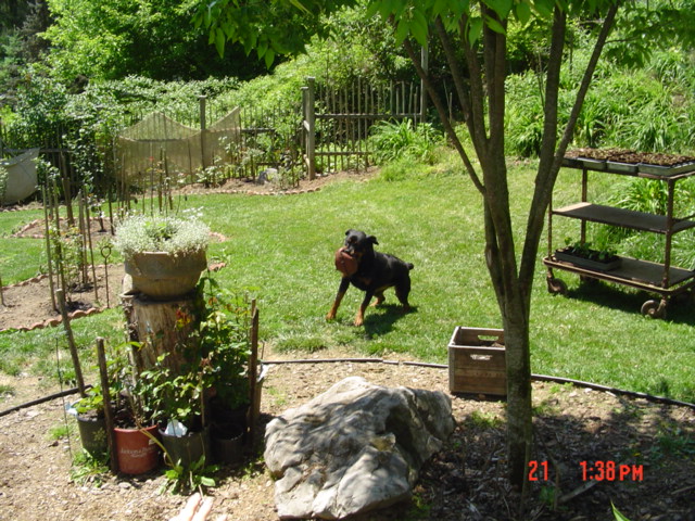 Dsc00447.jpg