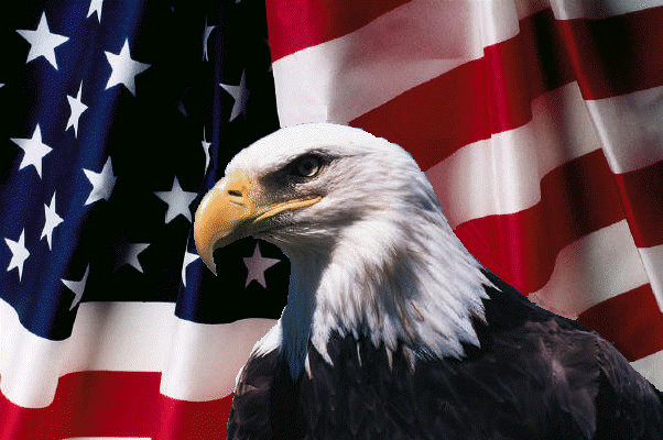 eagle-flag.gif