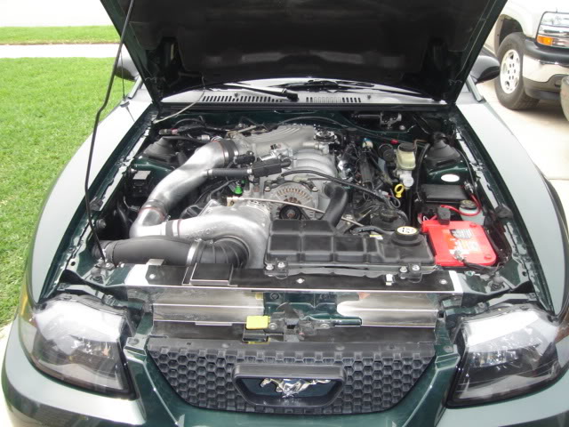 EngineBay.jpg