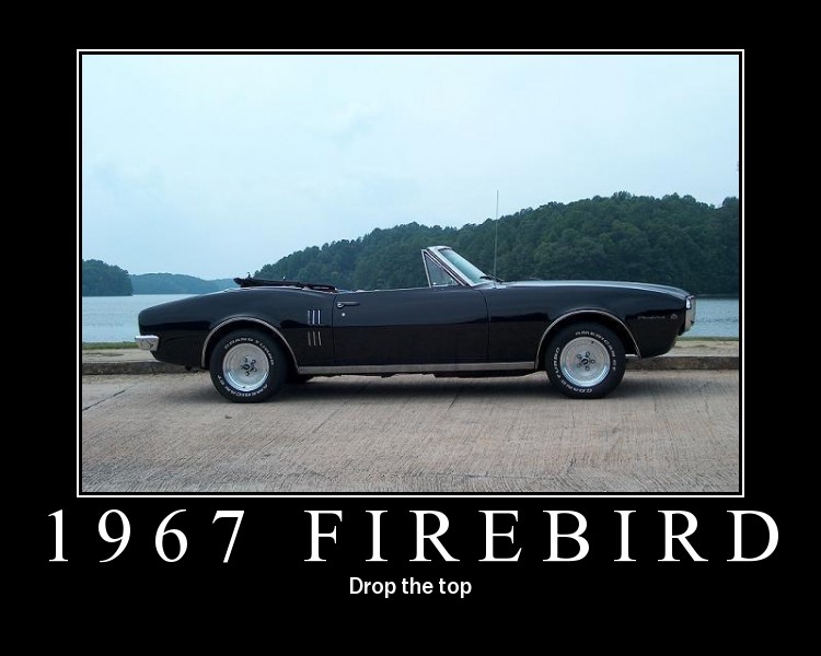 firebird.jpg