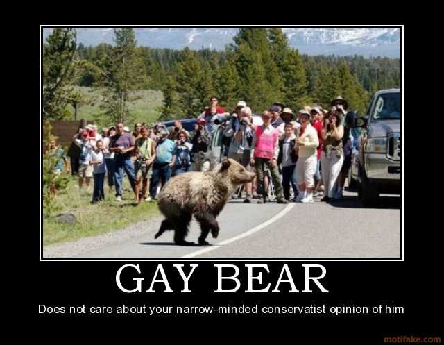 gay-bear-bear-gay-animal-demotivational-poster-1255083306.jpg