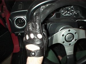 gloves1.jpg