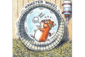 Hamster.jpg