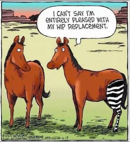 HIP REPLACEMENT.jpg