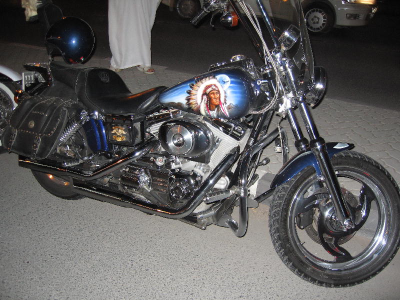 Indian_Themed_Harley.jpg