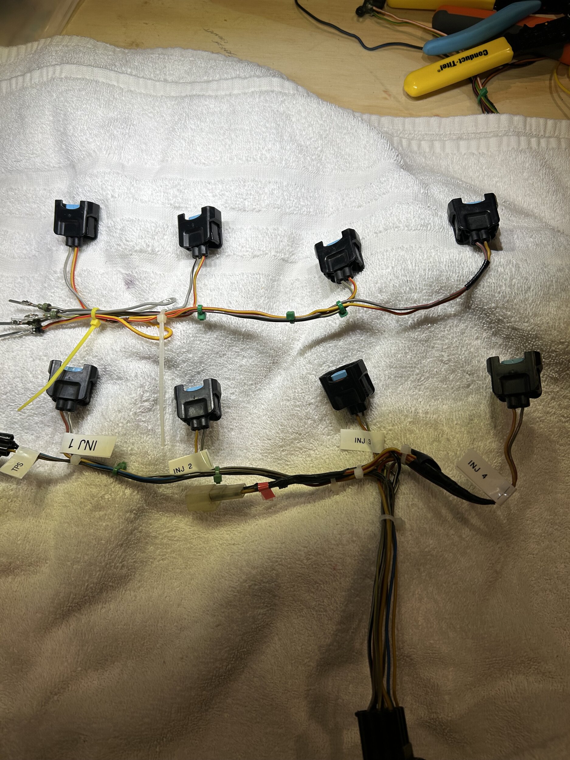 injector harness.jpg