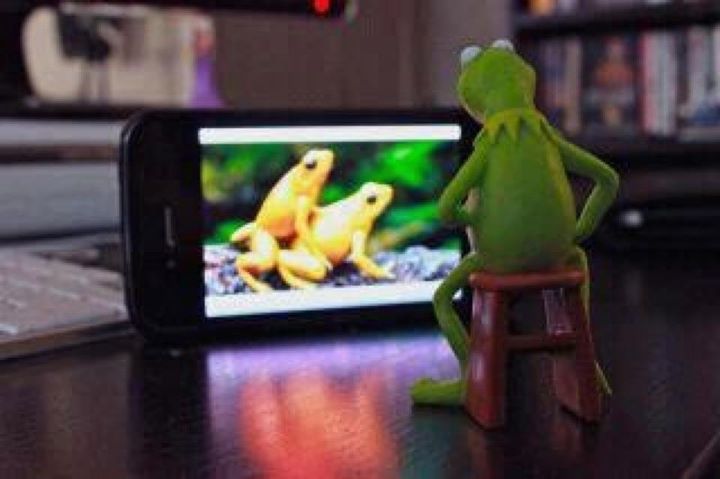 Kermit%20The%20Frog%20Watching%20Porn.jpg