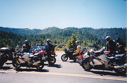 Laguna2busa.jpg