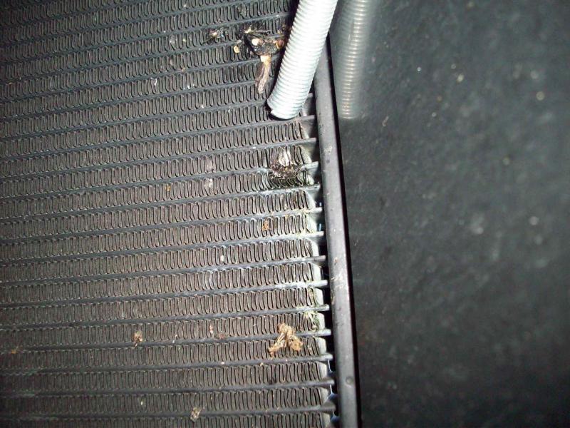 motorcycle radiator leak 003.jpg