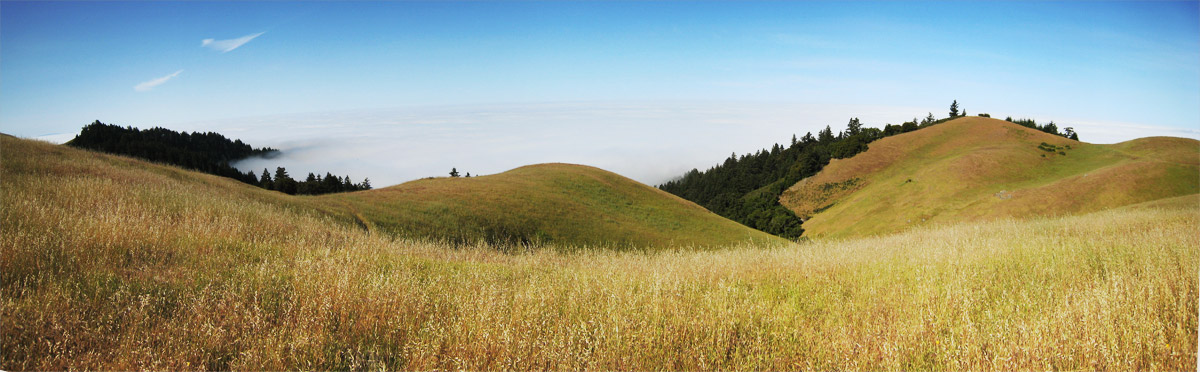 Mount_Tam_B.jpg