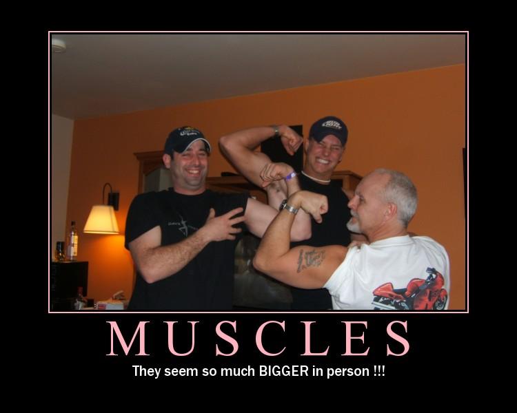 muscles.jpg