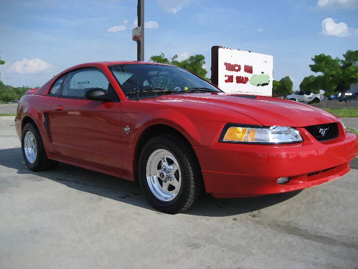 mustang016small.jpg