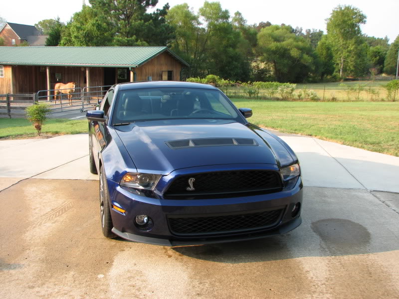 MustangGT500Trip039.jpg