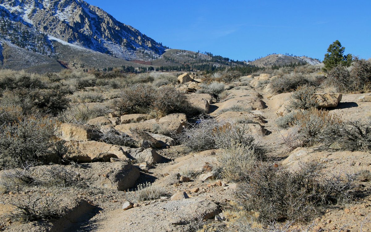 Old_wagon_road_up_Sherwin_Grade_to_Swall_Meadows.jpg