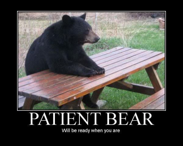 patient-bear-demotivational-poster.jpg