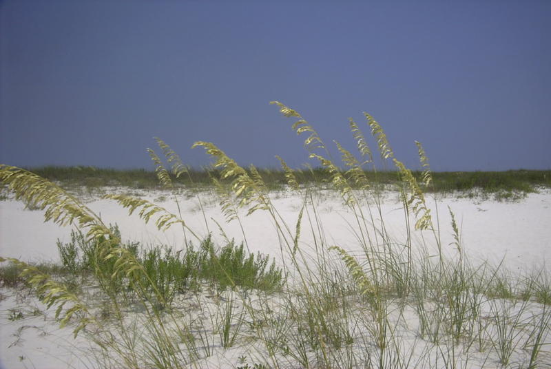 Perdido Pass2.jpg