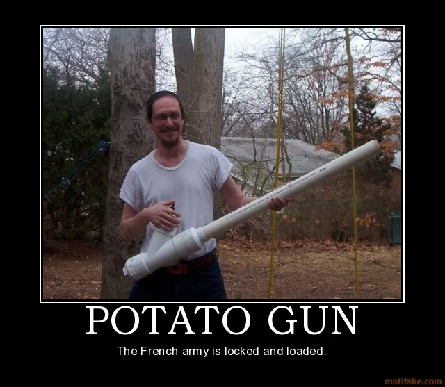 potato-gun-potato-demotivational-po.jpg