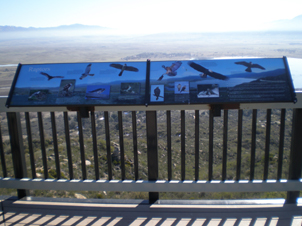 Raptor_Directory_at_Palomar_Lookout_17FEB08.jpg