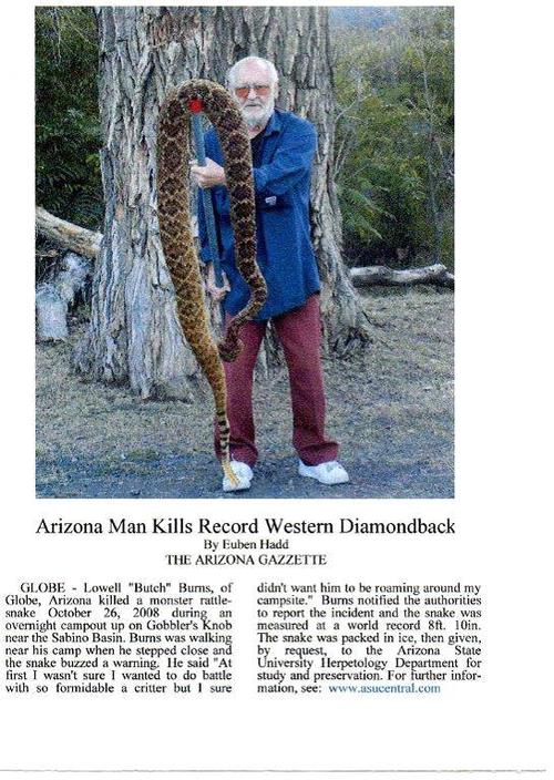 rattlesnake.jpg