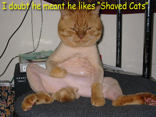 shaved.jpg